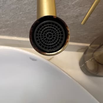 Paslanan Lavabo Bataryası İçin Garanti Kapsamında Yedek Parça Ve Değişim Talebi