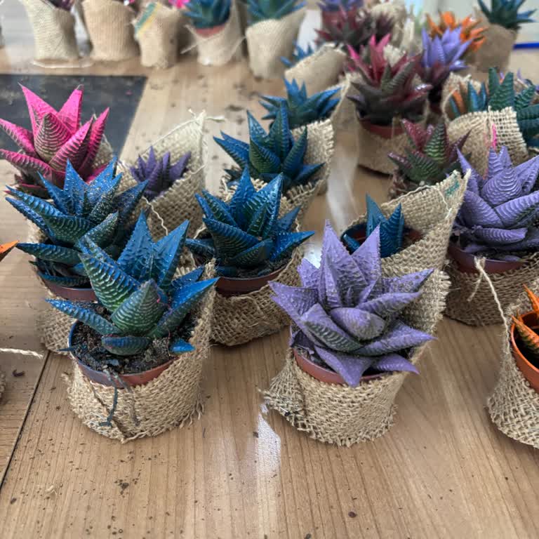 Eksik Ve Yanlış Çiçek Gönderimi, Kutu Ve Not Hatalarıyla 775 TL İade Talebi