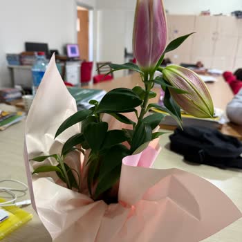 Kesik Çiçek Ve Yanıltıcı Görsel Nedeniyle İade Talebi