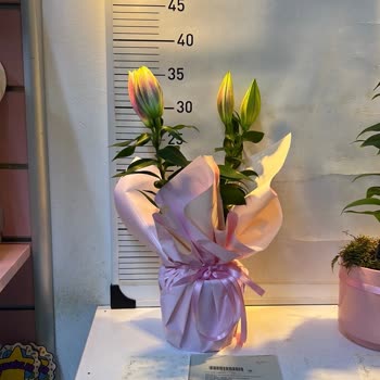 Kesik Çiçek Ve Yanıltıcı Görsel Nedeniyle İade Talebi