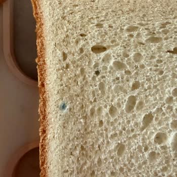 Metro Chef Tost Ekmeğinde Küf Görüldü