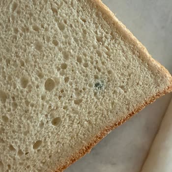 Metro Chef Tost Ekmeğinde Küf Görüldü