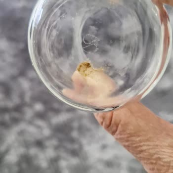 Beko 5045i Bulaşık Makinesinde Yetersiz Yıkama Ve Kötü Koku