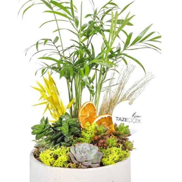 Sipariş Edilen Ürün Görselle Uyuşmuyor Ve İade Reddi