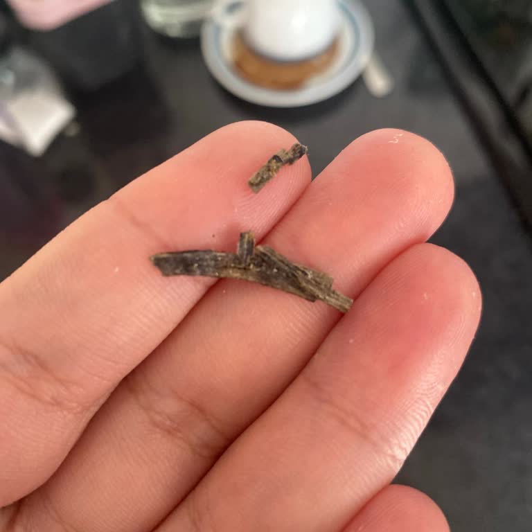 Trendyol Yemek Makarna Siparişinde Plastik Parça Çıktı Ve İade Reddedildi