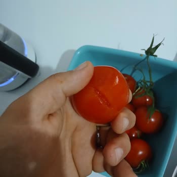 Siparişteki Çürük Ve Patlamış Domates Şikayeti