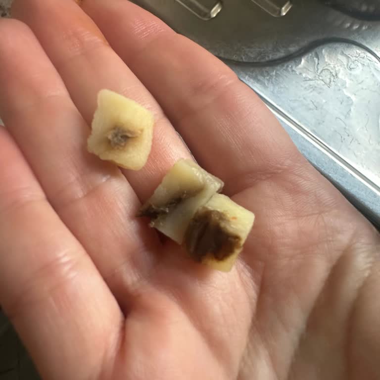 Tukaş Cam Kavanoz Garnitüründe Küflü Patatesler Ve Kalite Kontrol İhlali