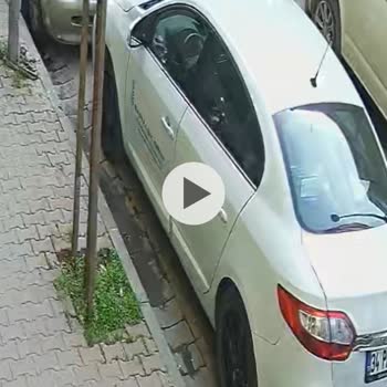 PTT Kargo Sürücüsü Aynamı Kırdı, Şikayetim Cevapsız