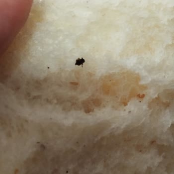 BİM Kartepe Şubesinde Ekmeğin İçinden Böcek Çıktı: Hijyen İhlali