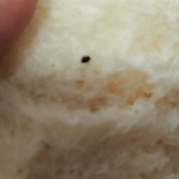 BİM Kartepe Şubesinde Ekmeğin İçinden Böcek Çıktı: Hijyen İhlali