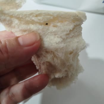 BİM Kartepe Şubesinde Ekmeğin İçinden Böcek Çıktı: Hijyen İhlali