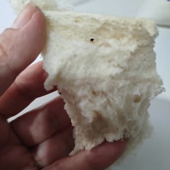 BİM Kartepe Şubesinde Ekmeğin İçinden Böcek Çıktı: Hijyen İhlali