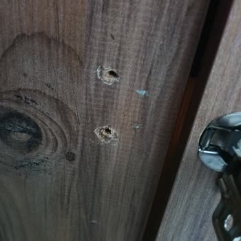 Ücretsiz Parça Desteği Sözünün İhlali Ve Menteşe Hasarı