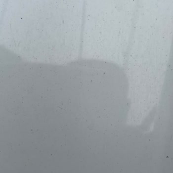 Spoticar, exijo reembolso por quemaduras de pintura en mi coche