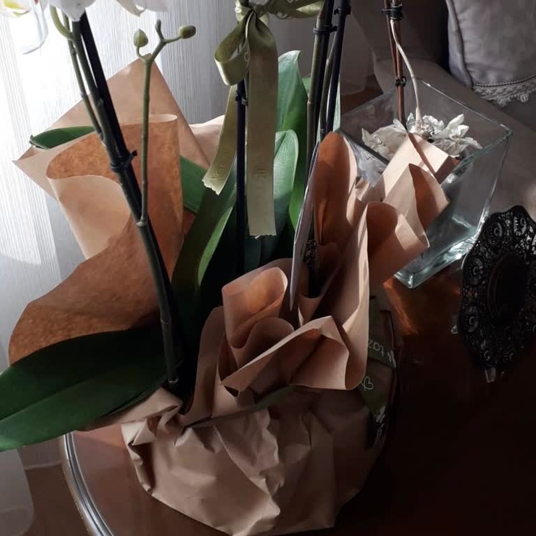 Kalitesiz Orkide Ve İptal Talebinin Reddedilmesi