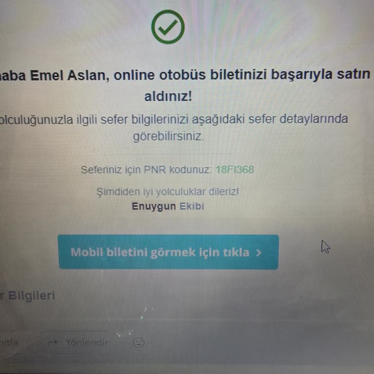 Arızalı Otobüs, İptal Sorunu Ve 600 TL İadesi Şikayeti