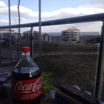 Sipariş Edilen Fidanların Yaş Ve Boyutları Uyuşmadı, Yanıltıcı Bilgi Ve Hatalı Gönderim