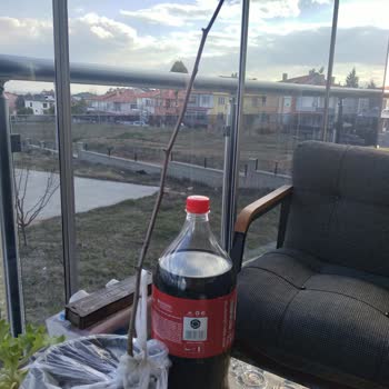 Sipariş Edilen Fidanların Yaş Ve Boyutları Uyuşmadı, Yanıltıcı Bilgi Ve Hatalı Gönderim