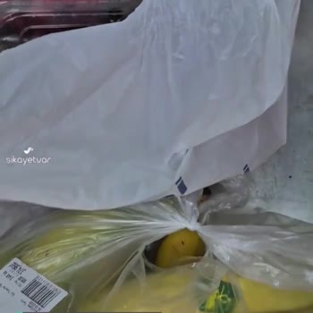 Gimsa Poşet Satma Çabası!