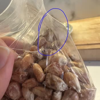 Mısır Paketi Üzerinde Küf Ve Koza: Hijyen Korkusu Ve Stok Sorunu