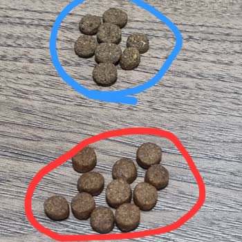 Yanlış Ürün Gönderimi Ve Sahte N&D Mamaya İade Ve Ücret İadesi Talebi