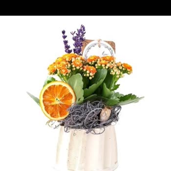 Yanıltıcı Görsel Ve Özensiz Çiçek Teslimatı, İade Talebi