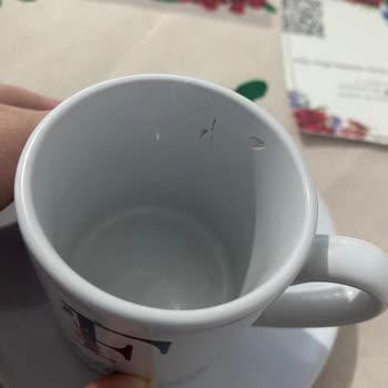 Çiçek Sepeti Şikayeti