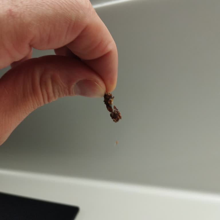 Şok Markette Kuru İncir Sert Ve Kurtlu, Sağlık Riski Ve Hijyen Şüphesi