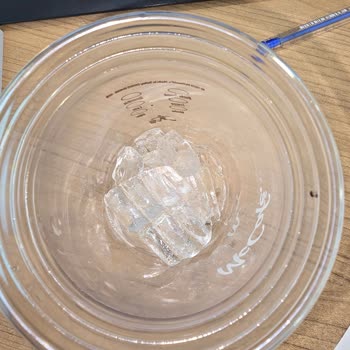 McDonald's Okmeydanı'nda İce Latte'ımda Ölü Sinek Buldum Ve Şikayetime Cevap Gelmedi