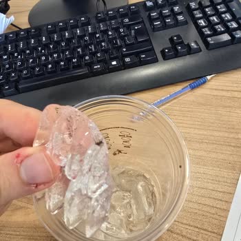 McDonald's Okmeydanı'nda İce Latte'ımda Ölü Sinek Buldum Ve Şikayetime Cevap Gelmedi