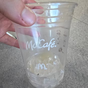 McDonald's Okmeydanı'nda İce Latte'ımda Ölü Sinek Buldum Ve Şikayetime Cevap Gelmedi