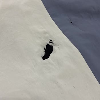 Çamaşır Makinesinin Kıyafet Yırtması Ve Ankastre Fırının Kusurlu Camı