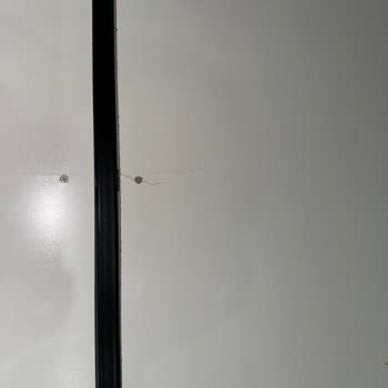 Modalife Kahramanmaraş Yatak Odası Takımında Kontraplak Kırılması Ve Garanti İhlali