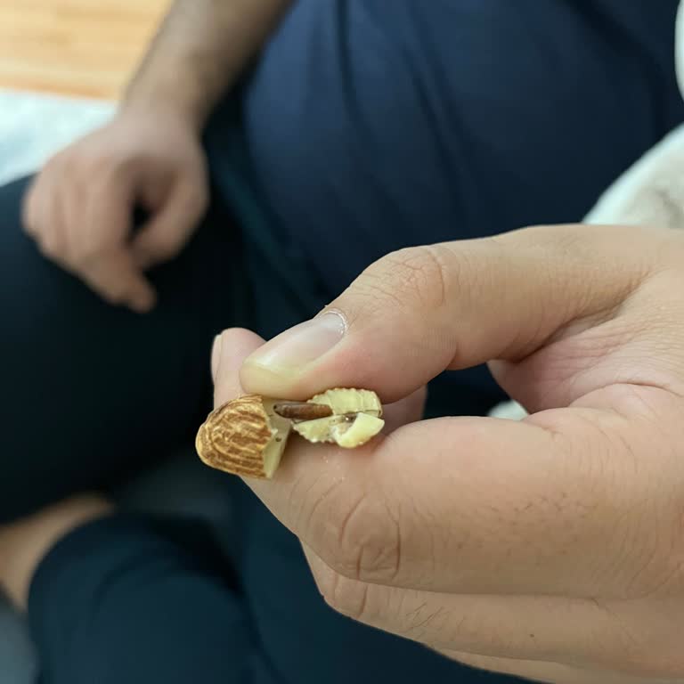 Kurtlu Badem Paketi Üzerinde Kalite Kontrol İhmali