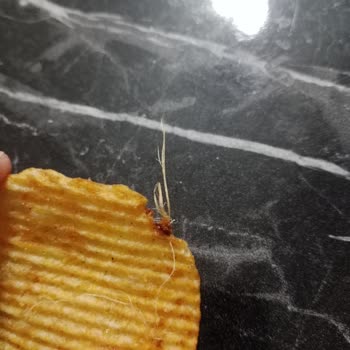 Fix Gross Market’te Ruffles Cipsinde Yabancı Madde