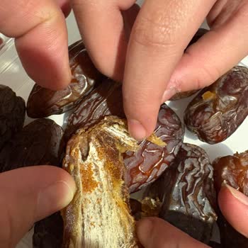 File Market’te Hurmanın İçinde Kurt Buldum