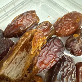 File Market’te Hurmanın İçinde Kurt Buldum