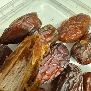 File Market’te Hurmanın İçinde Kurt Buldum