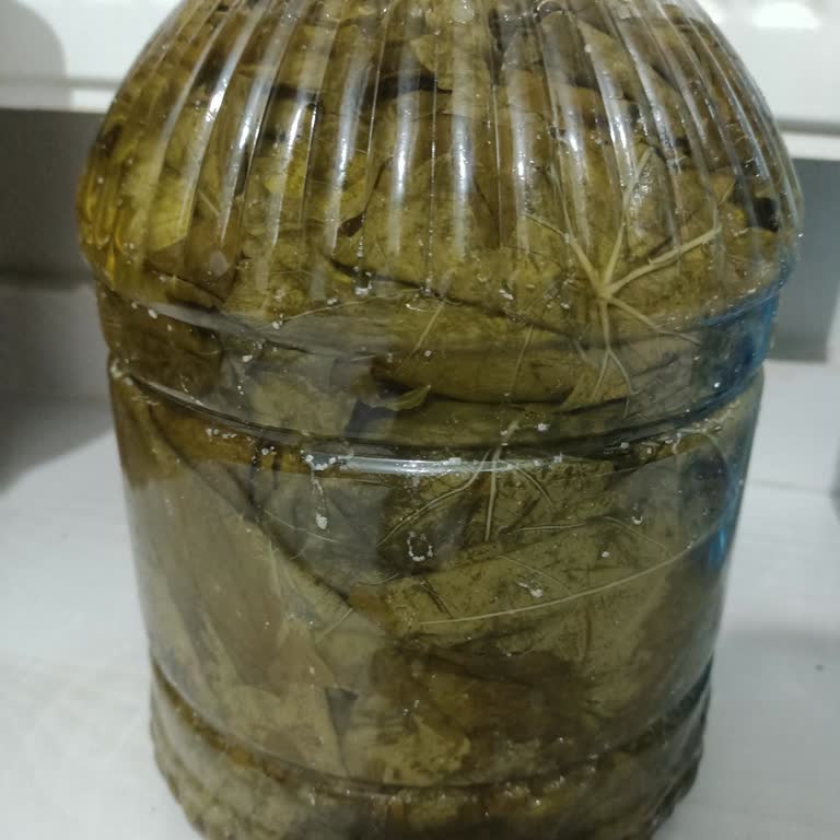 Kullanılamaz Üzüm Yaprağı Ve Cevapsız Satıcı