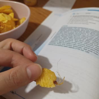 Ruffles Cipsinde Tüylü Yabancı Madde Bulunması