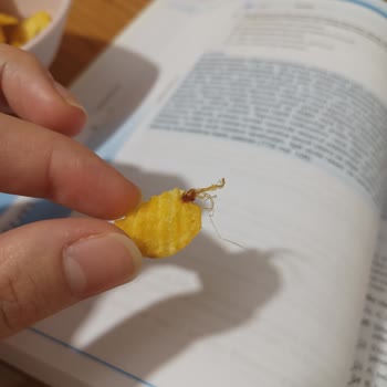 Ruffles Cipsinde Tüylü Yabancı Madde Bulunması