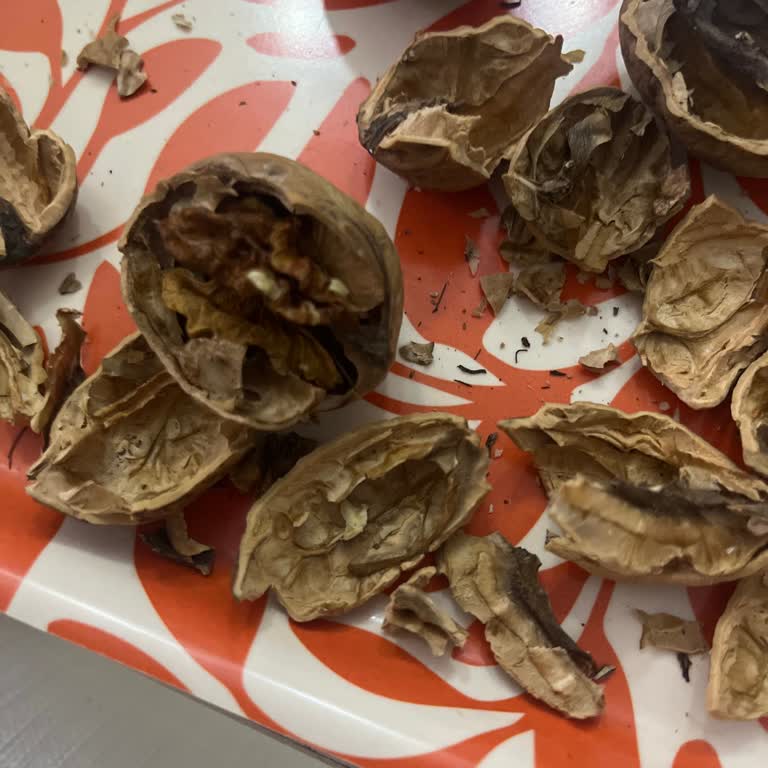 Cevizde Çürüme Ve Yüksek Fiyat: Kalitesiz Ürün Şikayeti