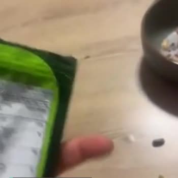 Nut Master Korkunç Antep Fıstığı