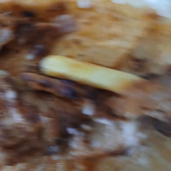 Maydonoz Döner Yanık Dürüm ve Eksik İçecek, Engellilik Durumumda İletişim Tercihim Yok Sayıldı