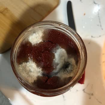 Doğru Saklamaya Rağmen Yurdum Biber Salçası Küflendi