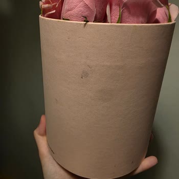 Solmuş Çiçekler Ve Kirli Kutu: Hızlı Teslimatta Kalite Sorunu