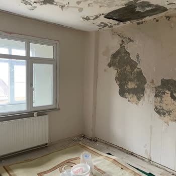 Sağlık Riski Taşıyan Evde Zorla Çıkarma Talebi Ve Kentsel Dönüşüm Bilgilendirme İhtiyacı