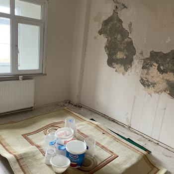 Sağlık Riski Taşıyan Evde Zorla Çıkarma Talebi Ve Kentsel Dönüşüm Bilgilendirme İhtiyacı