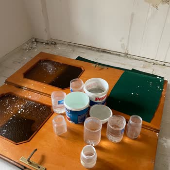 Sağlık Riski Taşıyan Evde Zorla Çıkarma Talebi Ve Kentsel Dönüşüm Bilgilendirme İhtiyacı