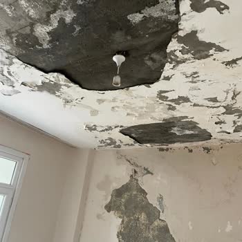 Sağlık Riski Taşıyan Evde Zorla Çıkarma Talebi Ve Kentsel Dönüşüm Bilgilendirme İhtiyacı